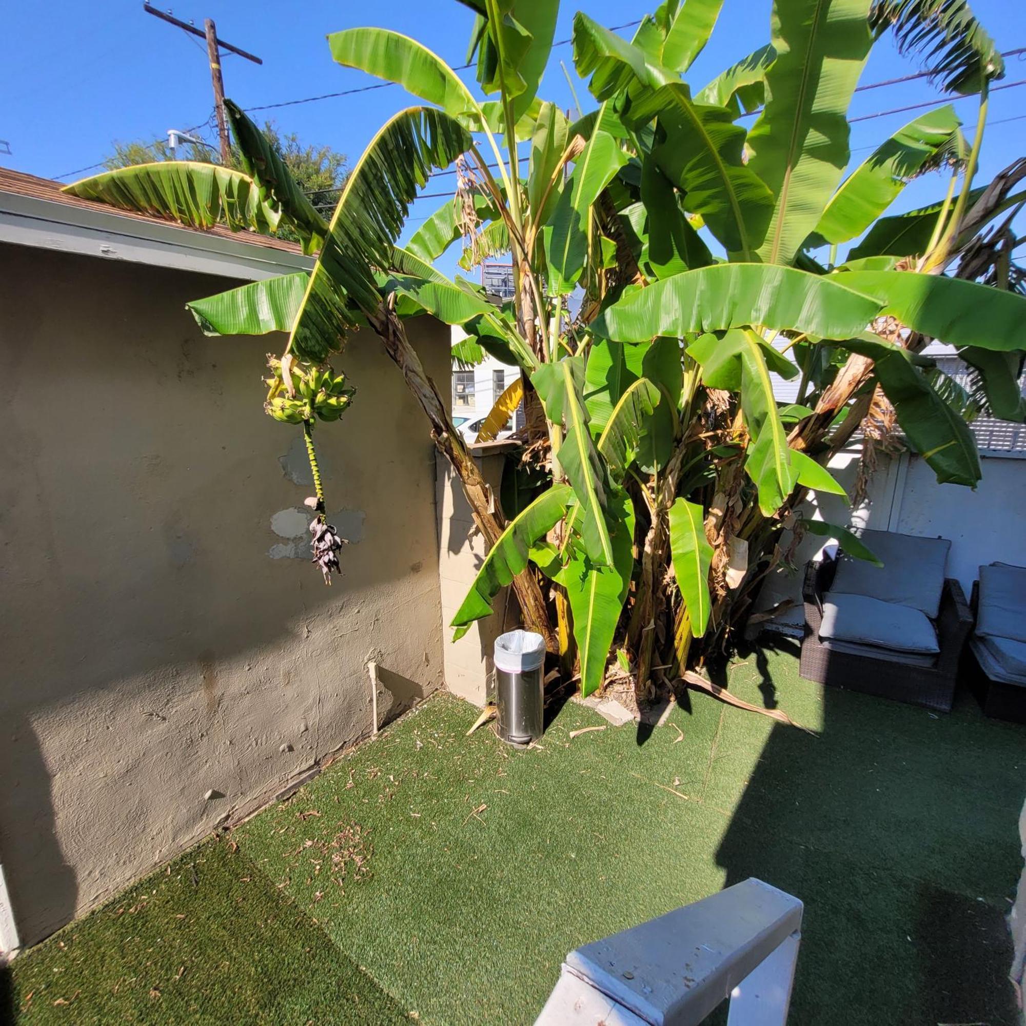La Getaway Oasis Appartement Los Angeles